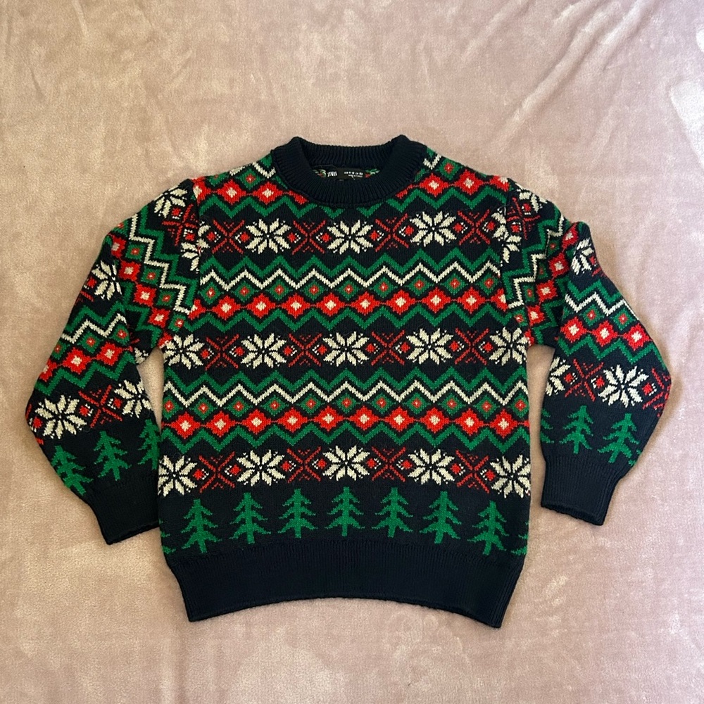 Zara boys Winter sweater NWOT